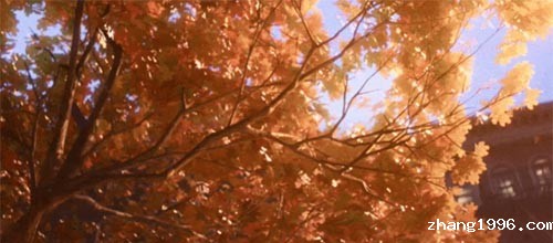 未标题-1.jpg